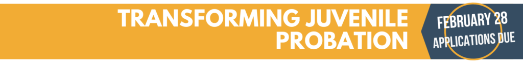Transforming Youth Probation Header