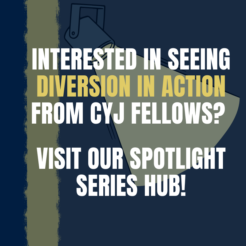 illustration of spotlight with text overlay of Visit our Diversion in Action Spotlight Hub Square