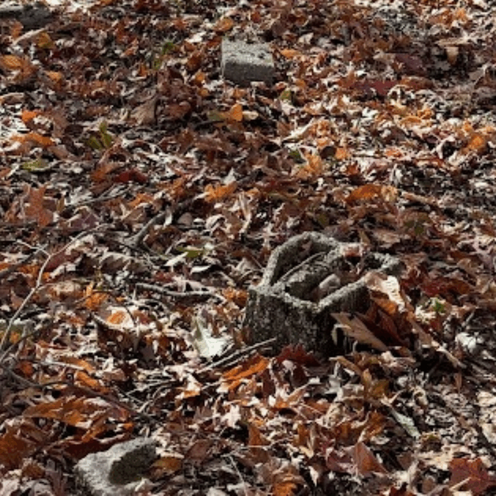 Leaf-covered ground with scattered cinderblocks