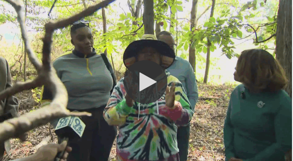 Snapshot of news segment with play button to link to news site