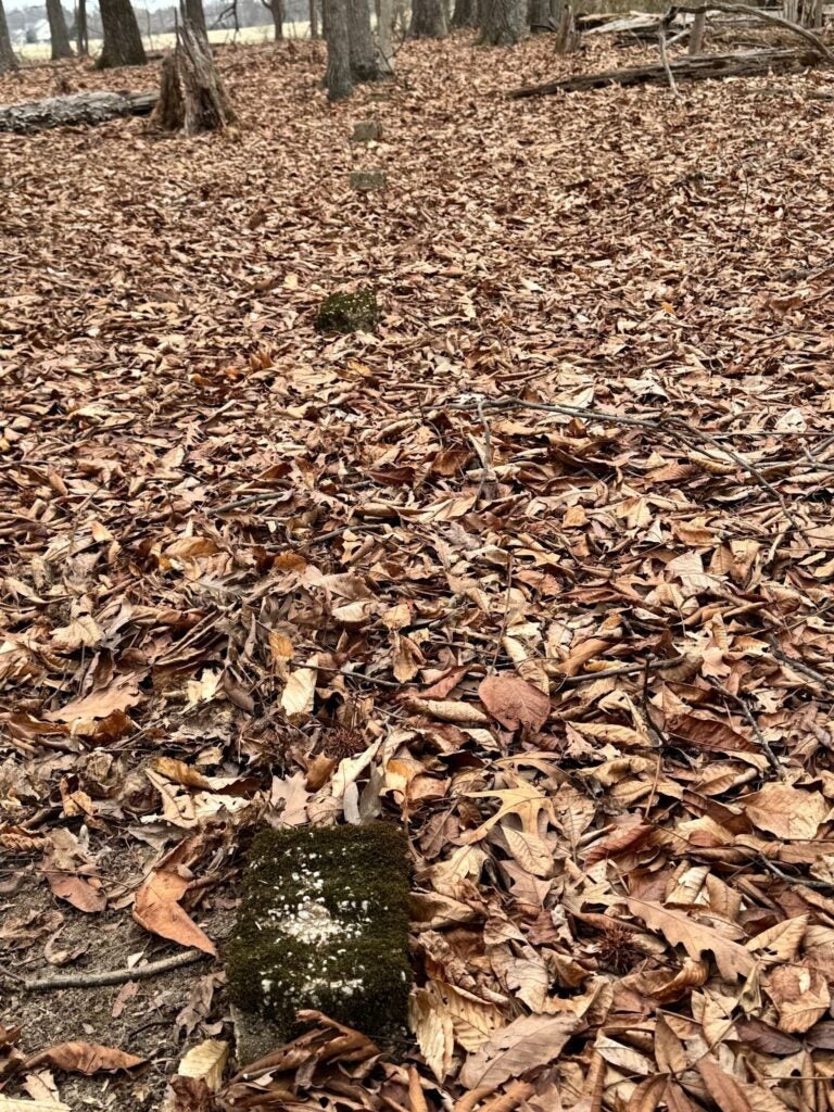 Cinder block markers in the woods