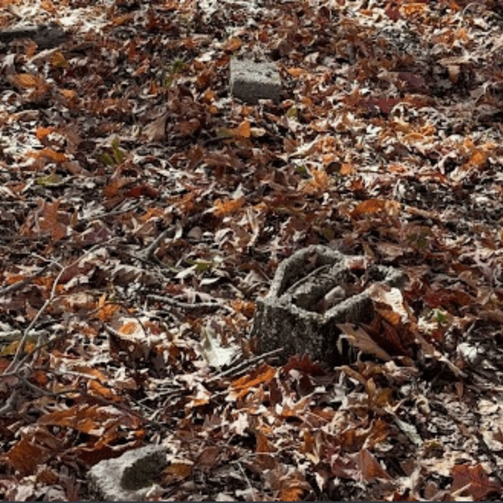 Leaf-covered ground with scattered cinderblocks