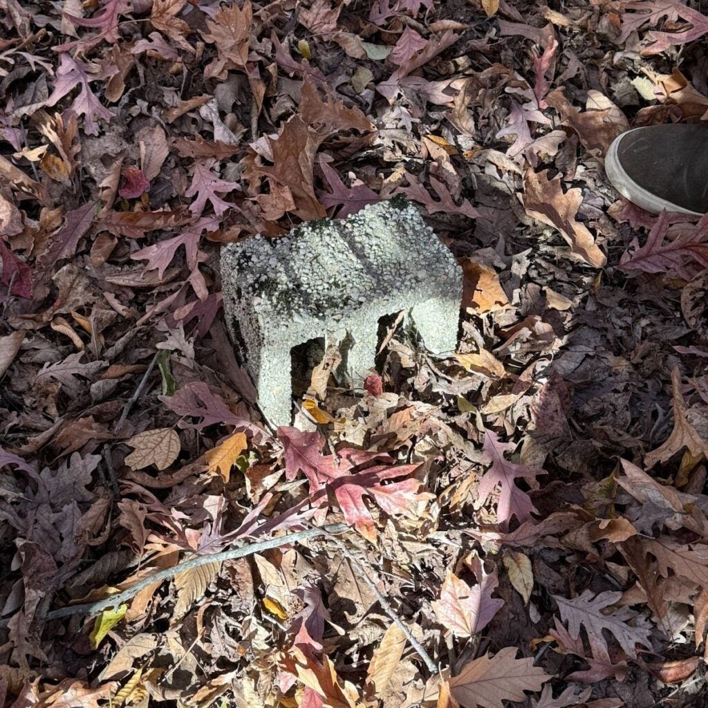 CInder block half in shade, sitting up in leaf-covered ground