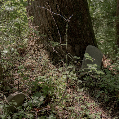 Two sunken gravestones sit in a wooded area near Cheltenham Youth Detention Center in Prince George's County, Maryland