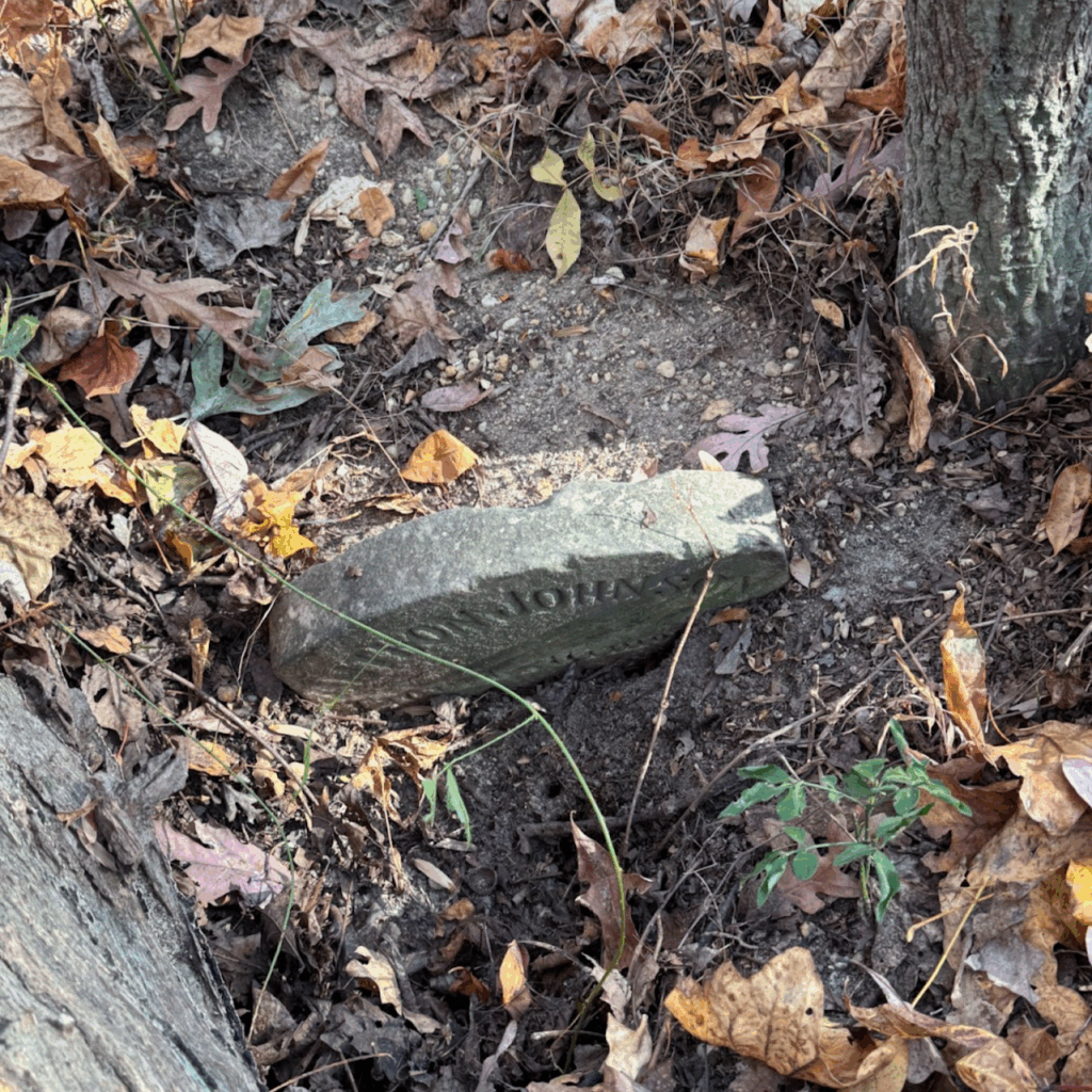 Headstone in vegetation covered ground
