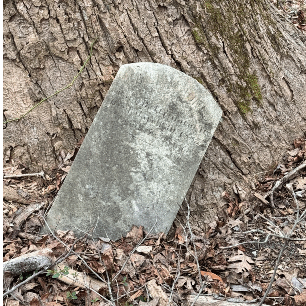 Headstone leaning against a tree