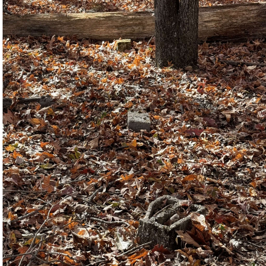 Cinder block markers in the woods