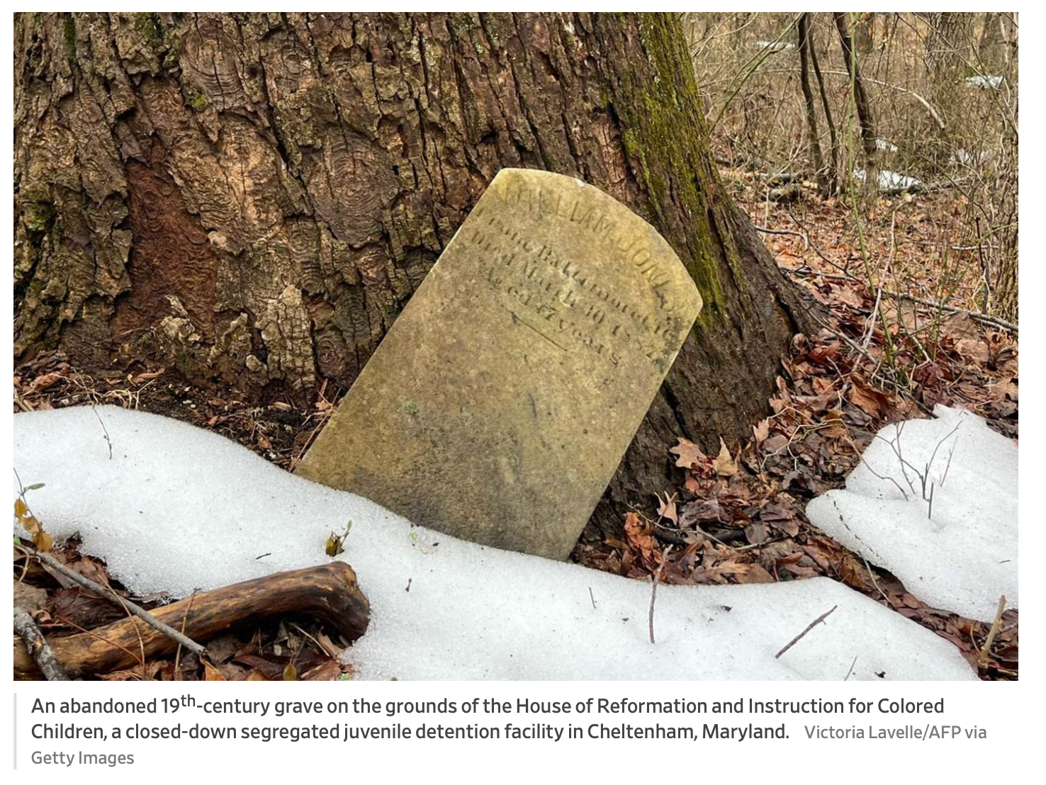 Headstone propped against a tree, surrounded by snow and dead leaves