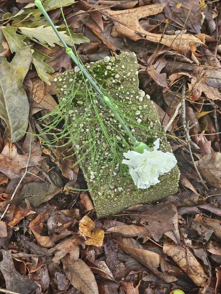 Flower on a cinderblock grave