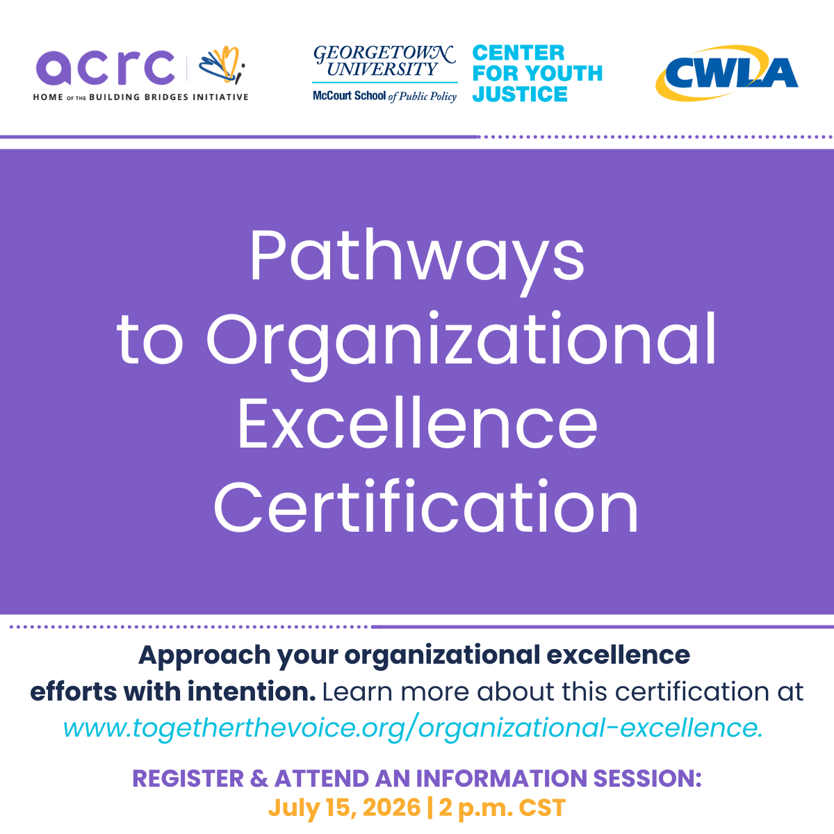 Banner for Pathways to Organizational Excellence Banner